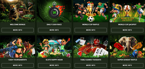 Wild Casino screenshot 2
